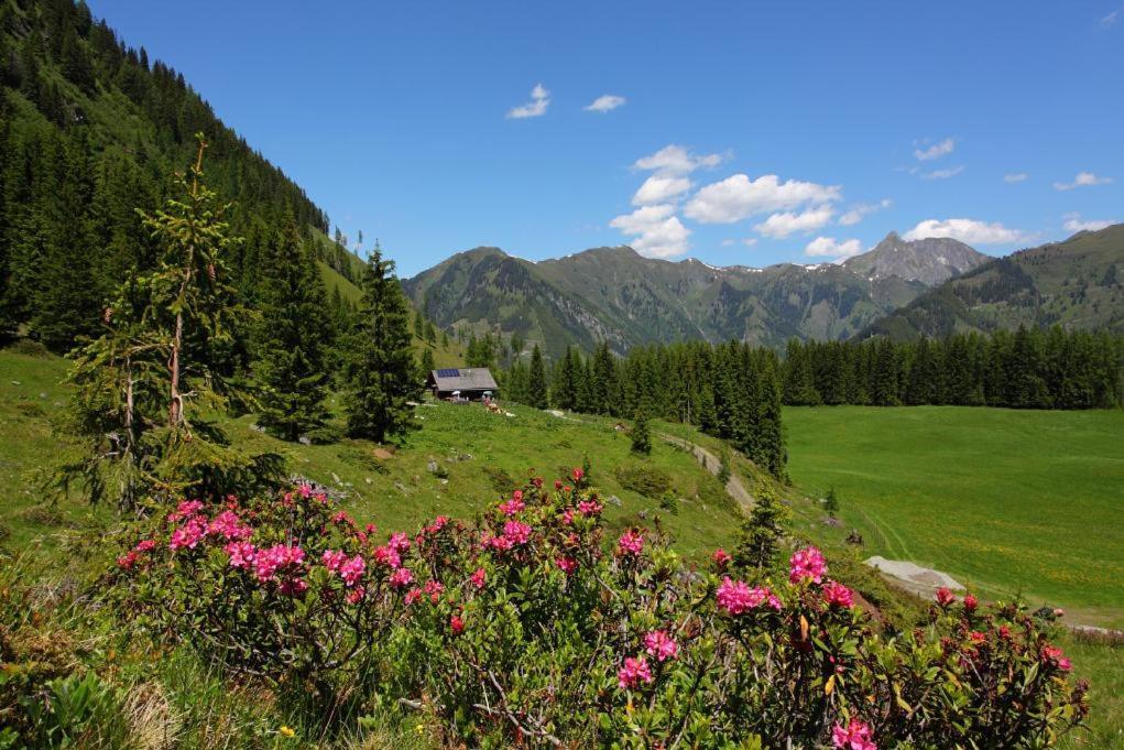 Naturhotel Huettenwirt Im Grossarltal Hüttschlag Екстериор снимка